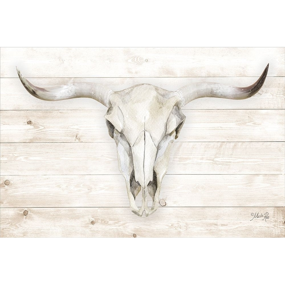 Cow Skull Poster Print by Marla Rae-VARPDXMAZ5137 Image 1