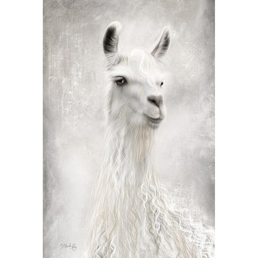 Lulu the Llama Up Close Poster Print by Marla Rae-VARPDXMAZ5486 Image 1