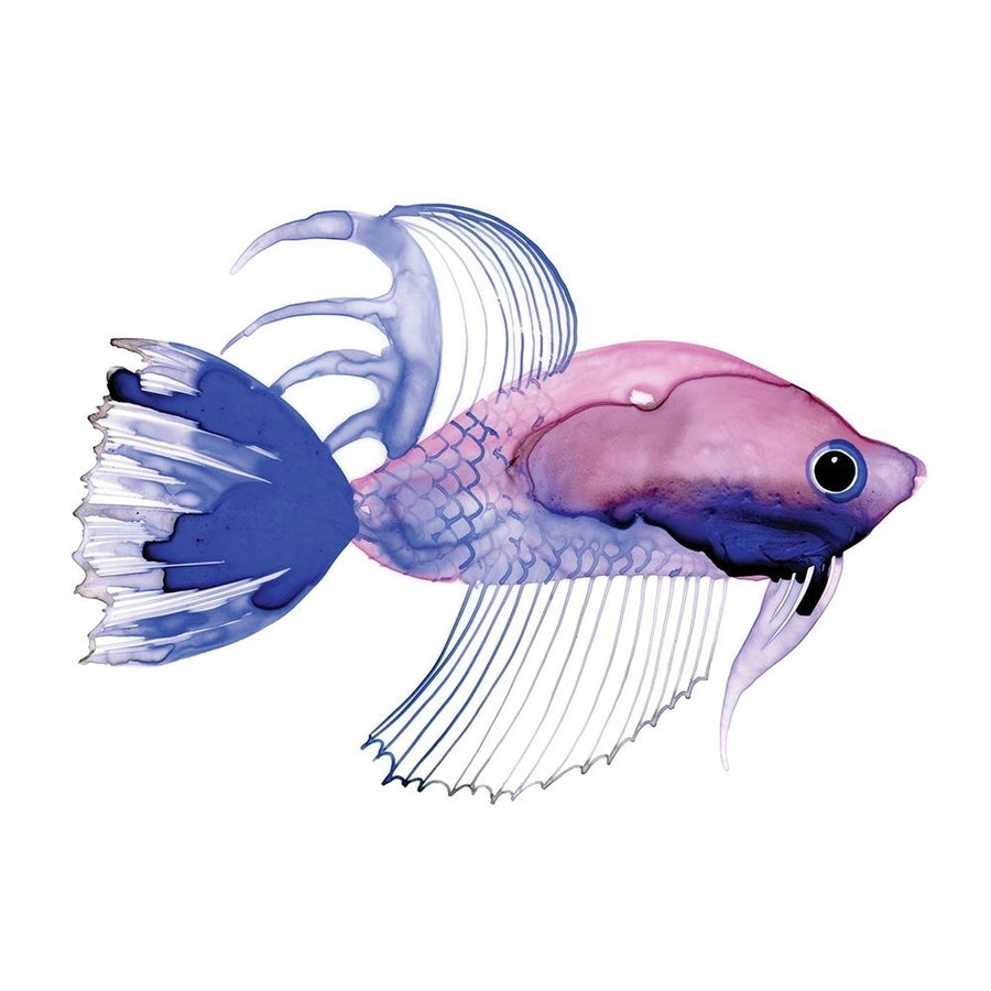 Purple Fish Poster Print - Margaret Berg-VARPDXMBG01M Image 1