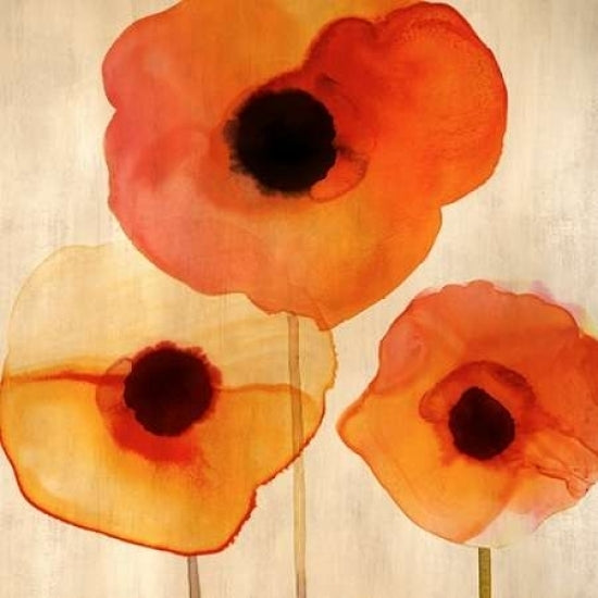 Orange Poppies I Poster Print by Margaret Berg-VARPDXMBG07M Image 2