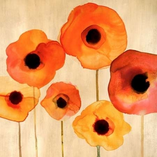 Orange Poppies II Poster Print by Margaret Berg-VARPDXMBG08M Image 1