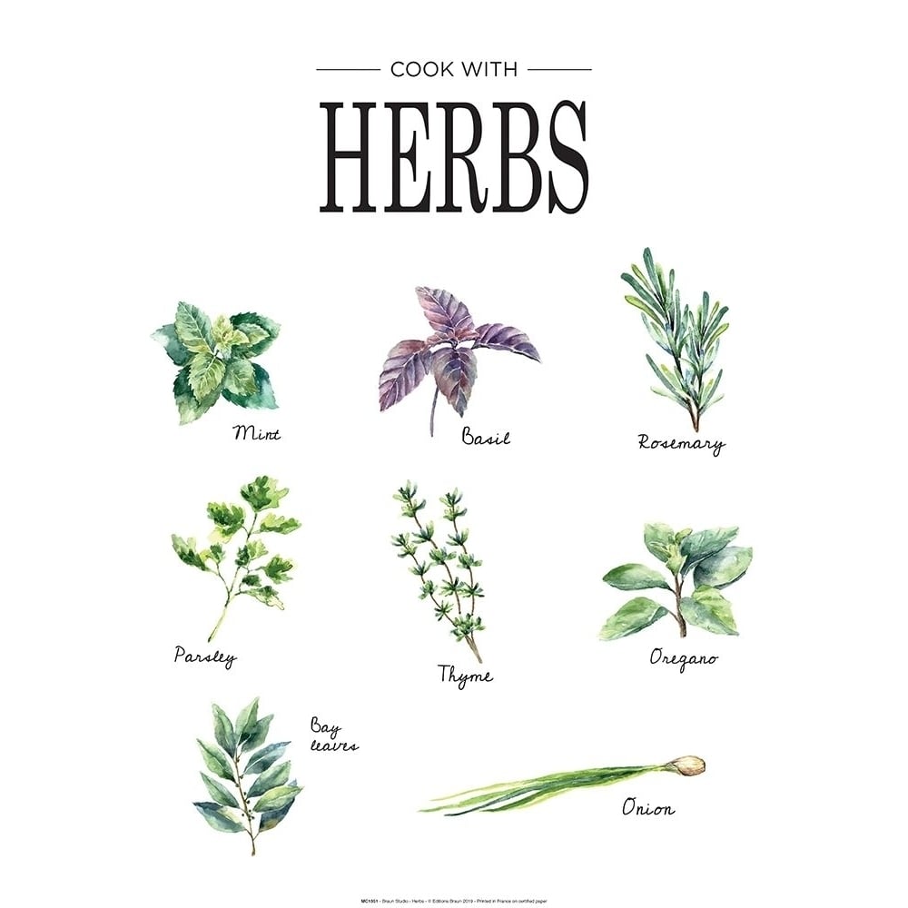 Herbs Poster Print by Braun Studio Braun Studio-VARPDXMC1351 Image 1