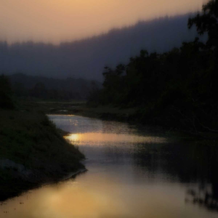 Sunlit River Poster Print by Madeline Clark-VARPDXMCL112621DG Image 1