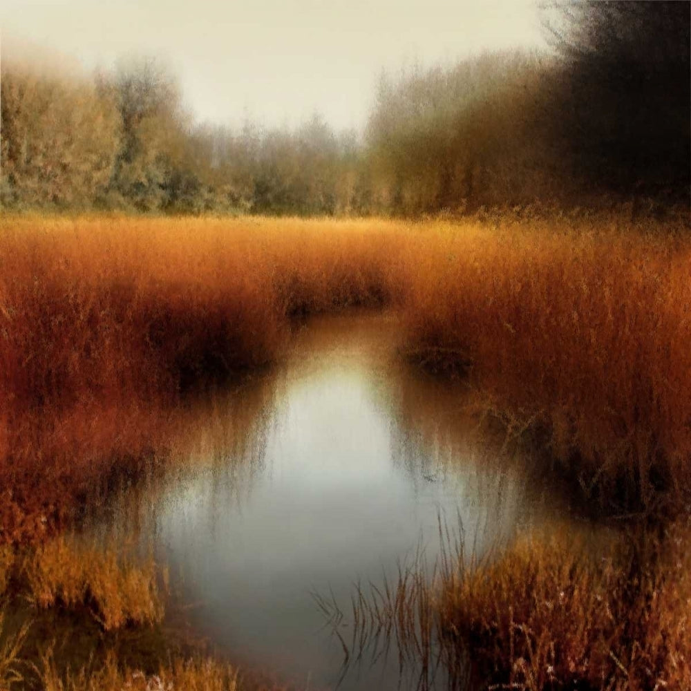 Sunlit Pond II Poster Print by Madeline Clark-VARPDXMCL111453DG Image 1