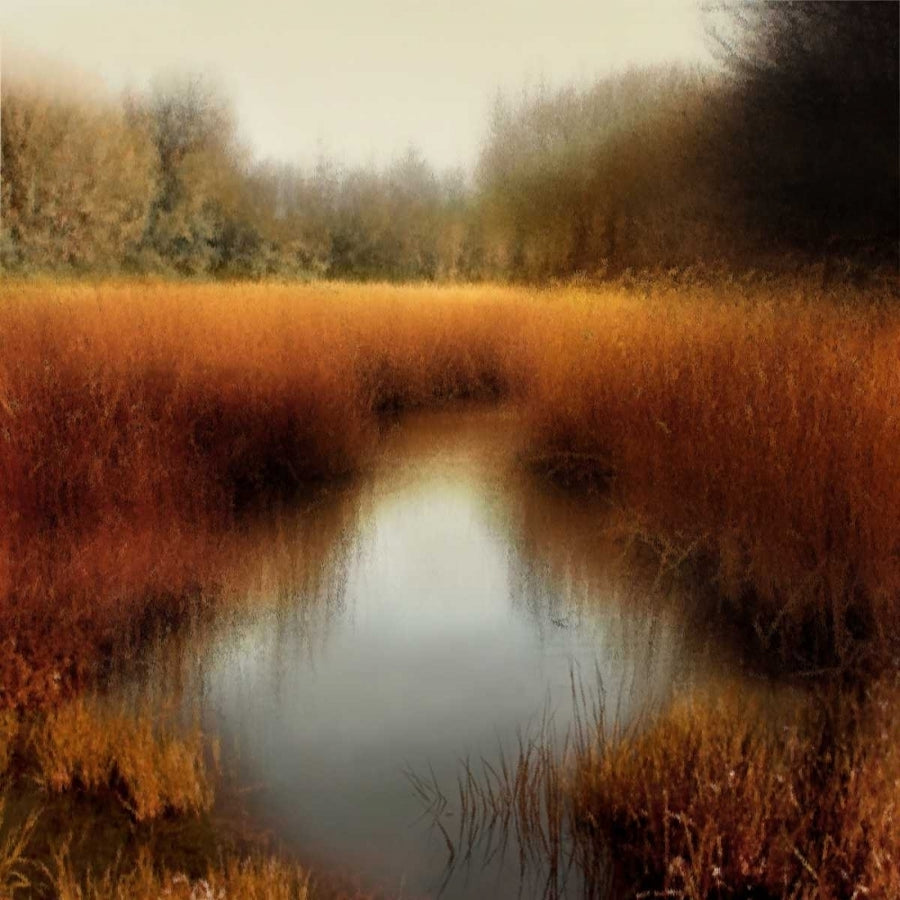 Sunlit Pond II Poster Print by Madeline Clark-VARPDXMCL111453DG Image 1