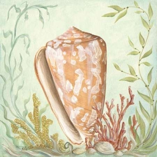 Seashells and Coral IV Poster Print by Kate McRostie-VARPDXMCR143 Image 2