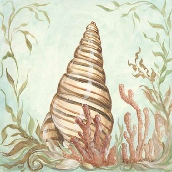 Seashells and Coral II Poster Print by Kate McRostie-VARPDXMCR141 Image 1