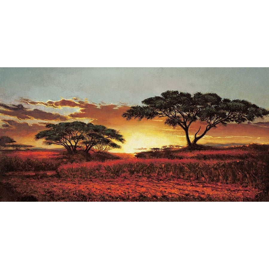 Memories of Serengeti Poster Print - Madou-VARPDXMD5491 Image 1