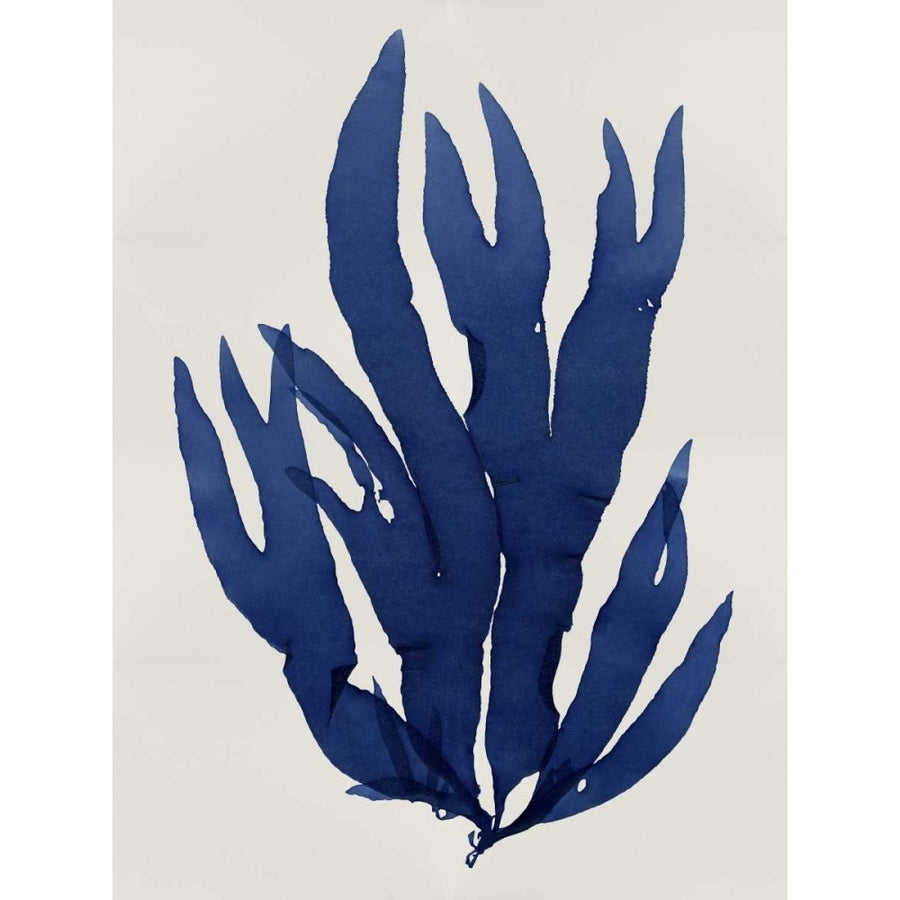 Sea Life - Indigo III Poster Print by Melonie Miller-VARPDXMEL112647DG Image 1