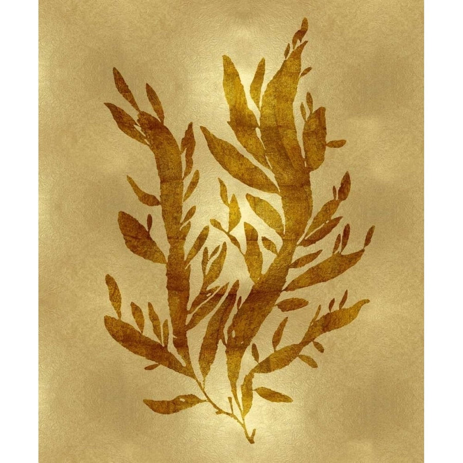 Sea Life - Gold IV Poster Print by Melonie Miller-VARPDXMEL112652DG Image 1