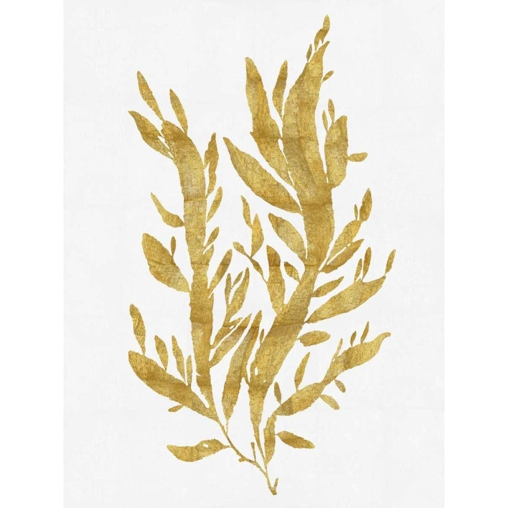 Sea Life - Gold on White IV Poster Print by Melonie Miller-VARPDXMEL112658DG Image 1