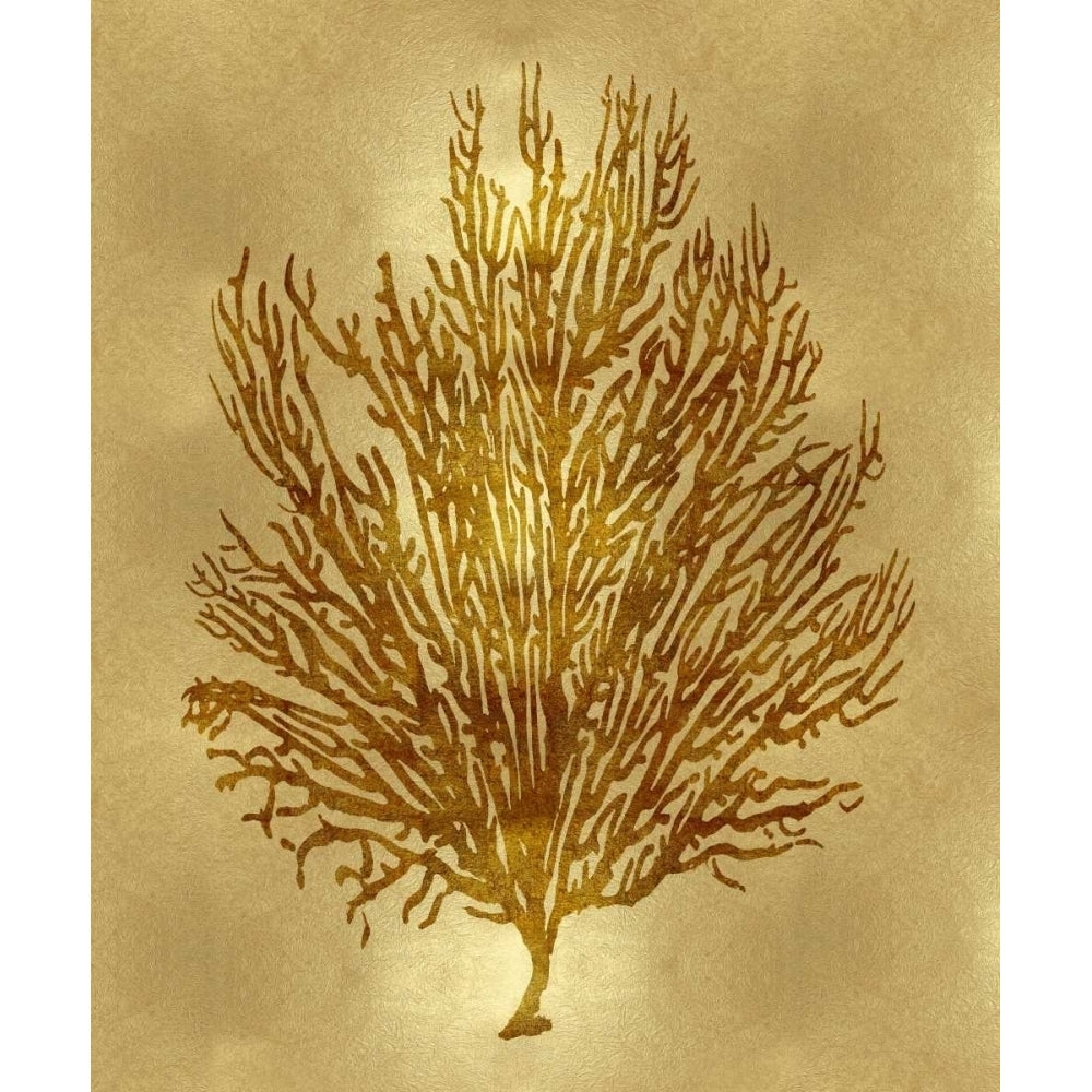 Sea Life - Gold V Poster Print by Melonie Miller-VARPDXMEL112653DG Image 1