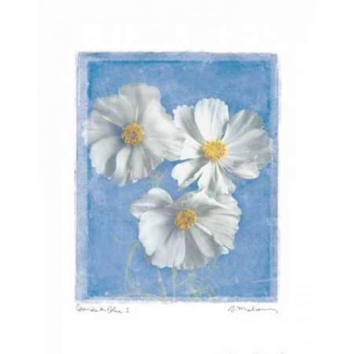 Cosmos on Blue I Poster Print by Amy Melious-VARPDXMEL297 Image 1