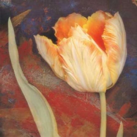 Dusk Tulip II Poster Print by Amy Melious-VARPDXMEL324 Image 2