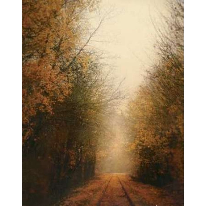 Road of Mysteries I Poster Print by Amy Melious-VARPDXMEL351 Image 1