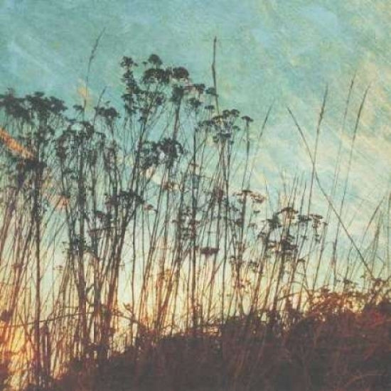 Wild Grass I Poster Print by Amy Melious-VARPDXMEL343 Image 2