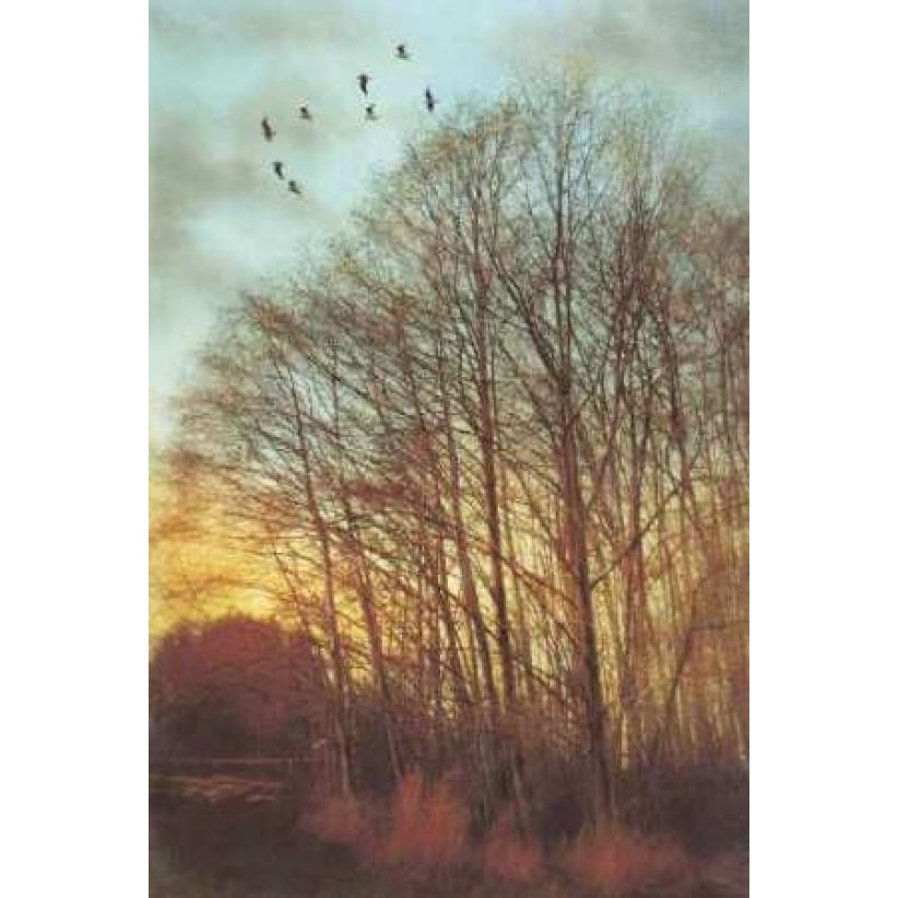 Winter Light II Poster Print by Amy Melious-VARPDXMEL350 Image 1