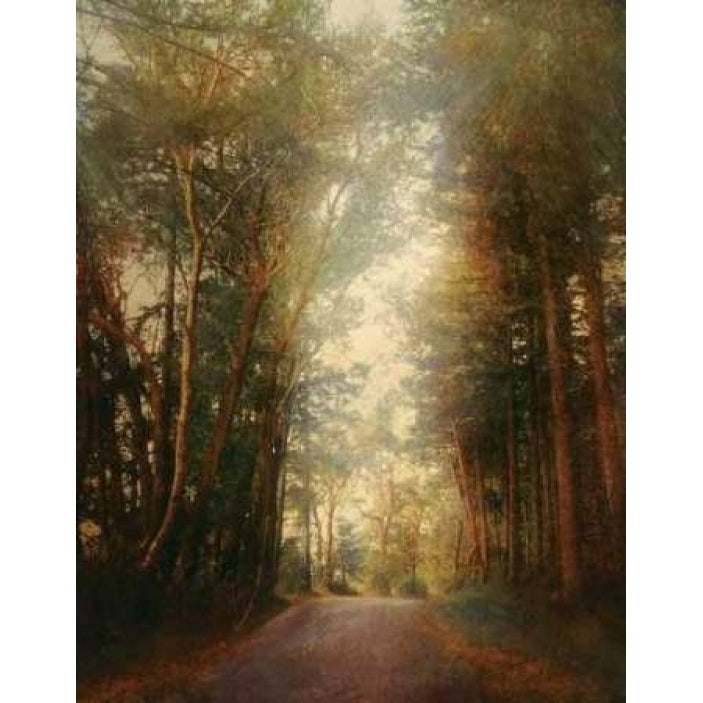 Road of Mysteries II Poster Print by Amy Melious-VARPDXMEL352 Image 1