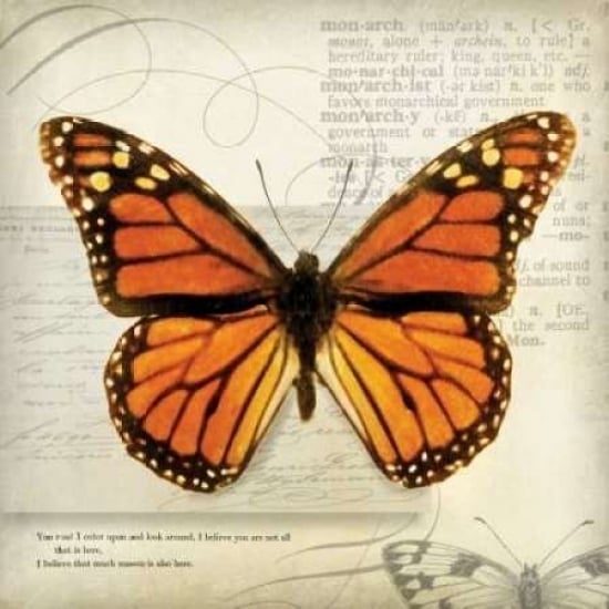 Butterflies Script II Poster Print by Amy Melious-VARPDXMEL417 Image 2