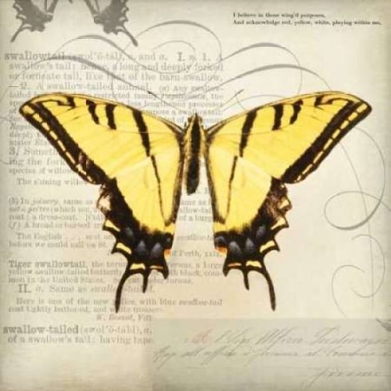 Butterflies Script V Poster Print by Amy Melious-VARPDXMEL420 Image 1