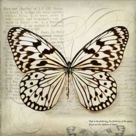 Butterflies Script III Poster Print by Amy Melious-VARPDXMEL418 Image 2