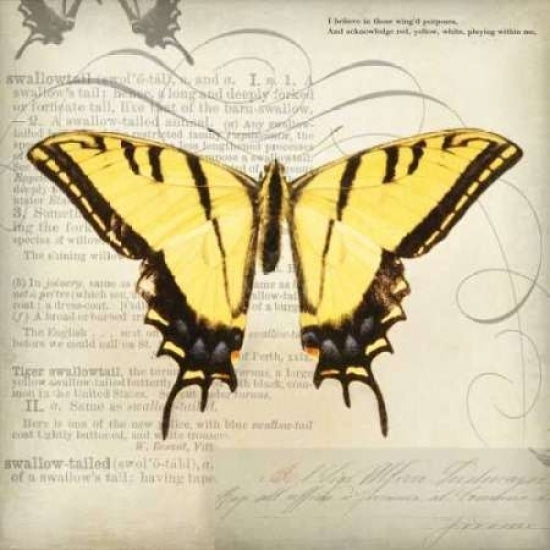 Butterflies Script V Poster Print by Amy Melious-VARPDXMEL420 Image 2