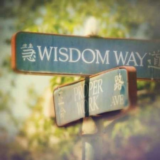 Wisdom Poster Print by Amy Melious-VARPDXMEL456 Image 1