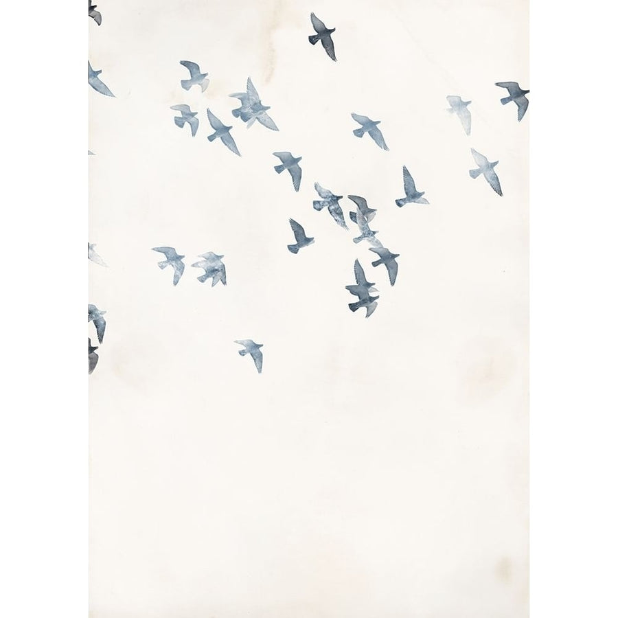 Pigeons Sky Poster Print by Design Fabrikken Design Fabrikken-VARPDXMF9690888 Image 1