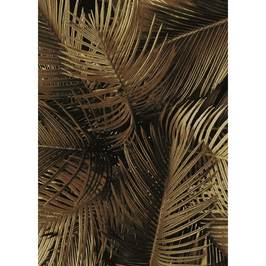 Golden Palm 2 Poster Print by Design Fabrikken Design Fabrikken-VARPDXMF9691087 Image 1