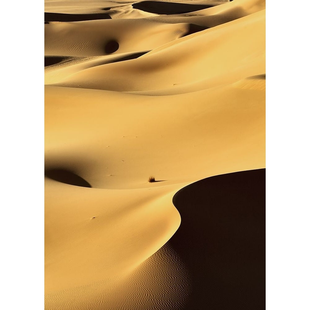 In the Dunes 1 Poster Print by Design Fabrikken Design Fabrikken-VARPDXMF9691261 Image 1