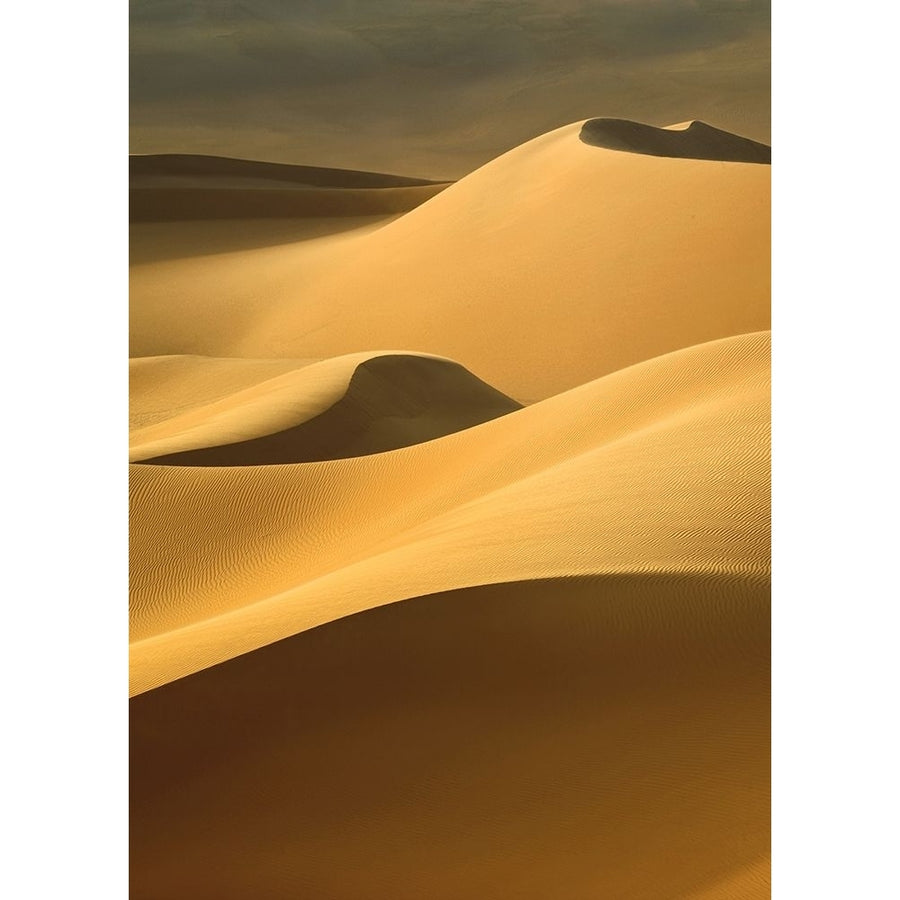 In the Dunes 3 Poster Print by Design Fabrikken Design Fabrikken-VARPDXMF9691263 Image 1