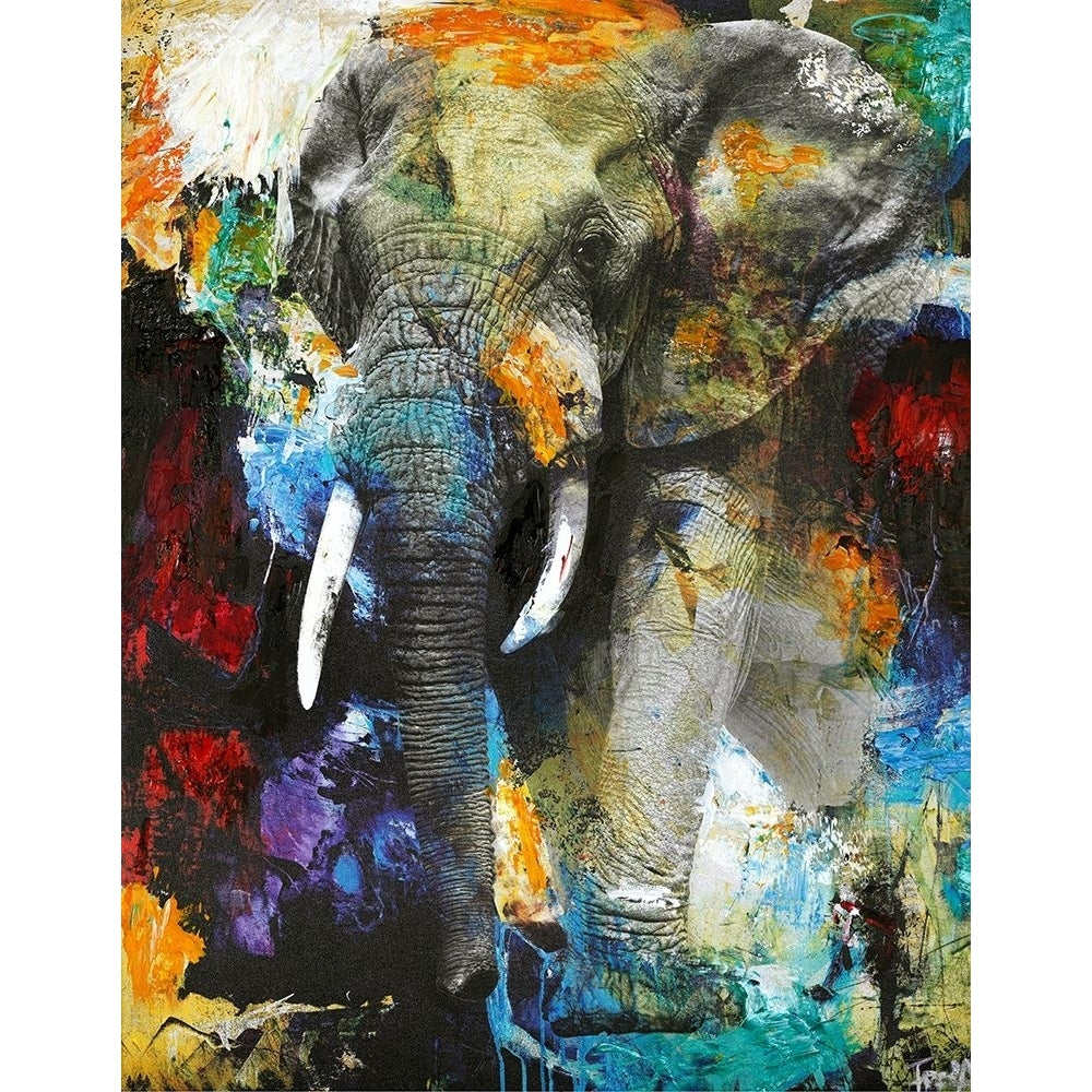 Elephant Poster Print by Design Fabrikken Design Fabrikken-VARPDXMF9691647 Image 1