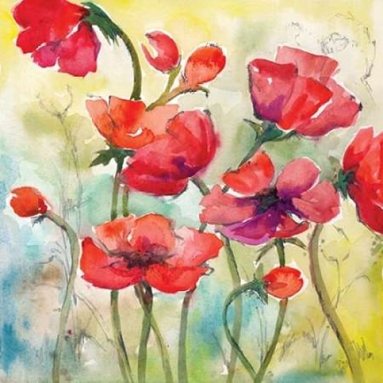 Poppy Study I Poster Print by Margaret Ferry-VARPDXMFY149 Image 1