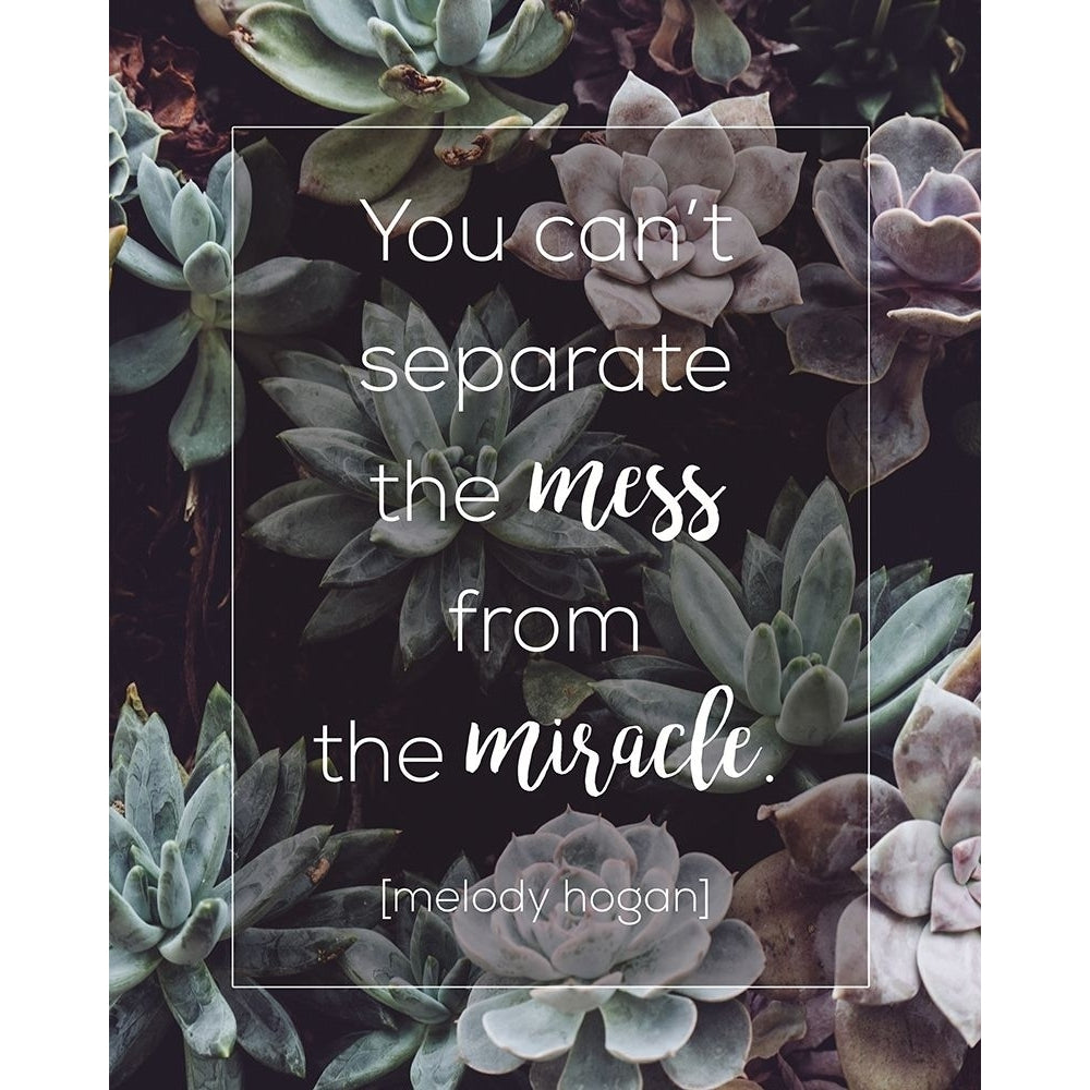 Mess and Miracle Poster Print by Melody Hogan-VARPDXMHRC233A Image 1