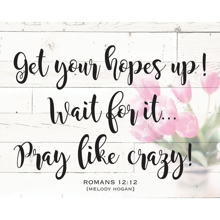 Romans 12:12 Shiplap 1 Poster Print by Melody Hogan-VARPDXMHRC234A Image 1