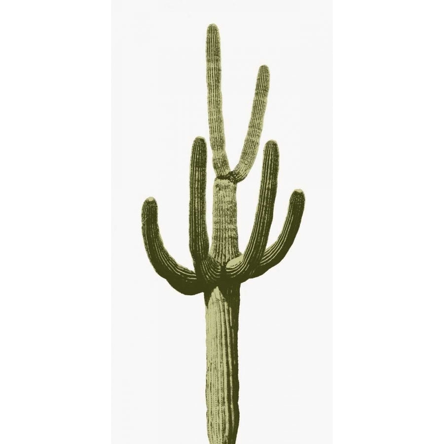 Saguaro III Poster Print by Mia Jensen-VARPDXMJ114265 Image 1