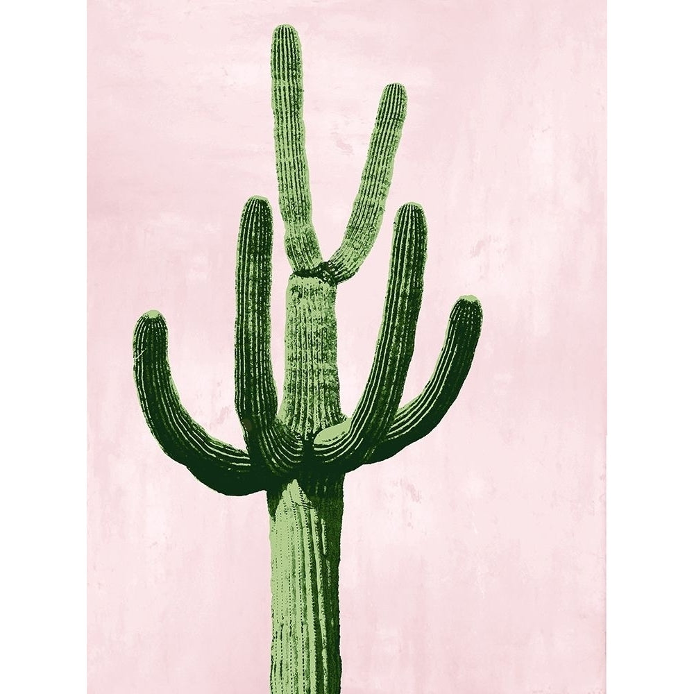 Cactus on Pink IV Poster Print by Mia Jensen-VARPDXMJ116800 Image 1