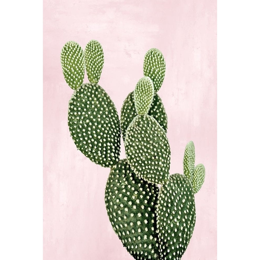 Cactus on Pink V Poster Print by Mia Jensen-VARPDXMJ116801 Image 1