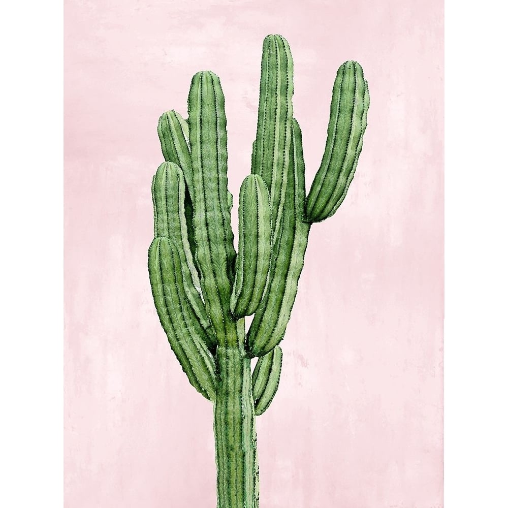 Cactus on Pink I Poster Print by Mia Jensen-VARPDXMJ116797 Image 1