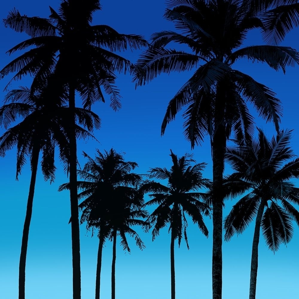 Palms Black on Blue I Poster Print by Mia Jensen-VARPDXMJ116833 Image 1