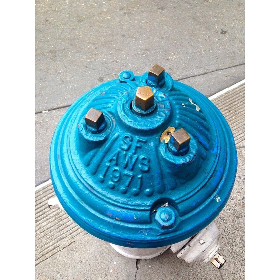 Blue Fire Hydrant II Poster Print by Grayscale Grayscale-VARPDXMJMPLA00011 Image 1