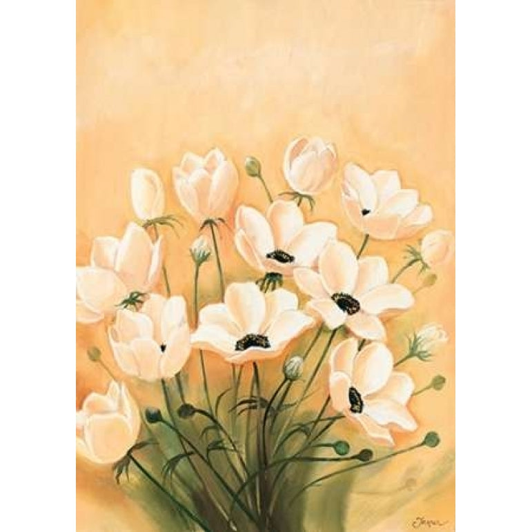 White poppies 2-3 Poster Print by Jasper-VARPDXMLV004 Image 2