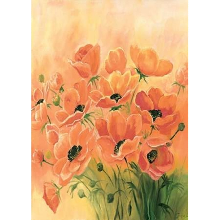 Red poppies 2-3 Poster Print by Jasper-VARPDXMLV007 Image 1