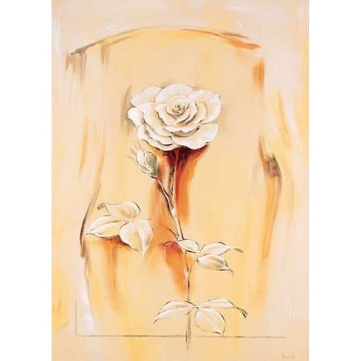 Rose Poster Print by Renee-VARPDXMLV024 Image 1