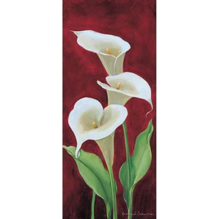 Calla on burgundy III Poster Print by Gertrud Schweser-VARPDXMLV259 Image 2