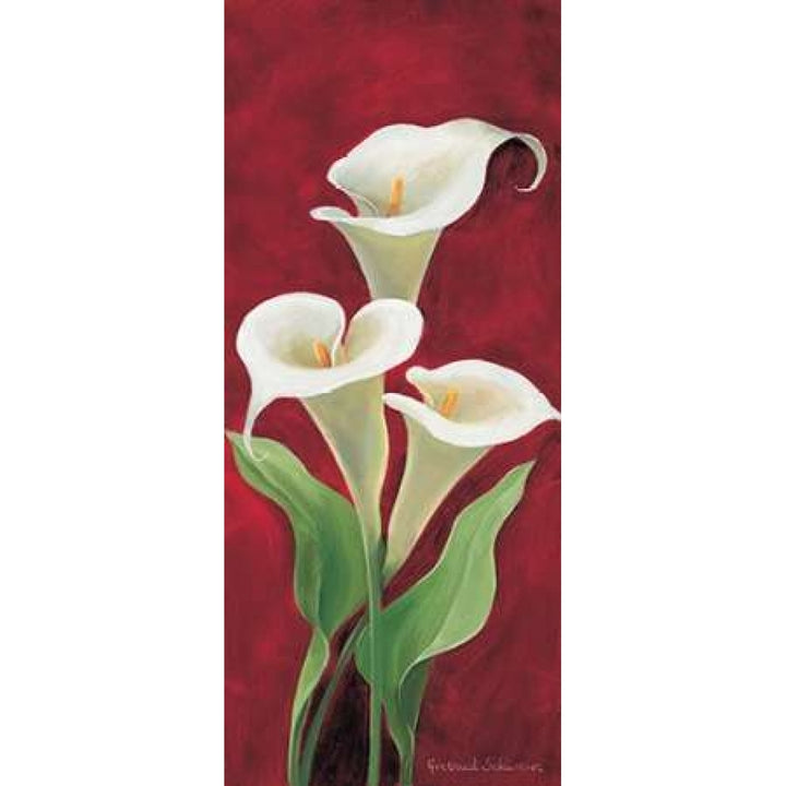 Calla on burgundy I Poster Print by Gertrud Schweser-VARPDXMLV257 Image 1