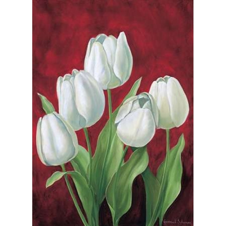 Tulips on burdundy II Poster Print by Gertrud Schweser-VARPDXMLV261 Image 1