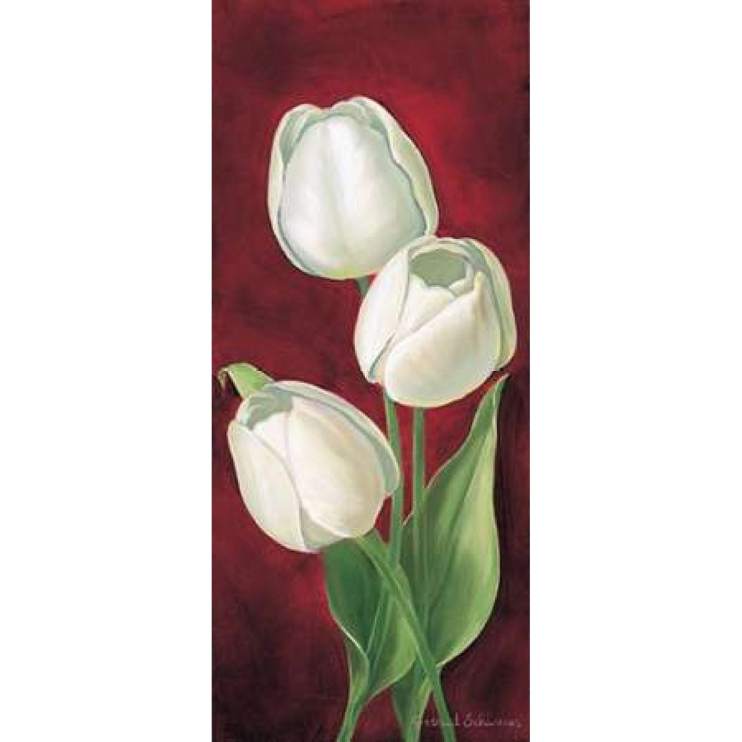 Tulips on burdundy I Poster Print by Gertrud Schweser-VARPDXMLV260 Image 1