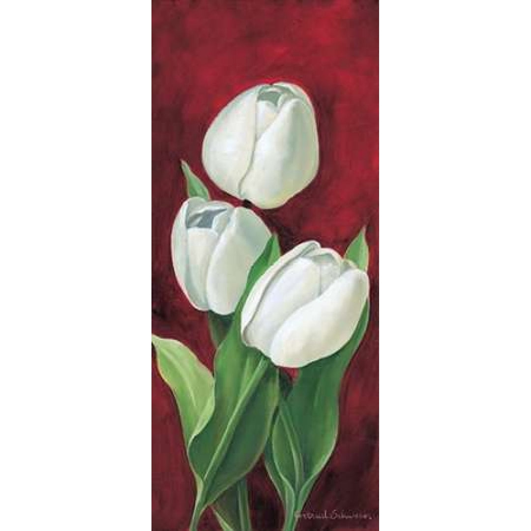 Tulips on burdundy III Poster Print by Gertrud Schweser-VARPDXMLV262 Image 1