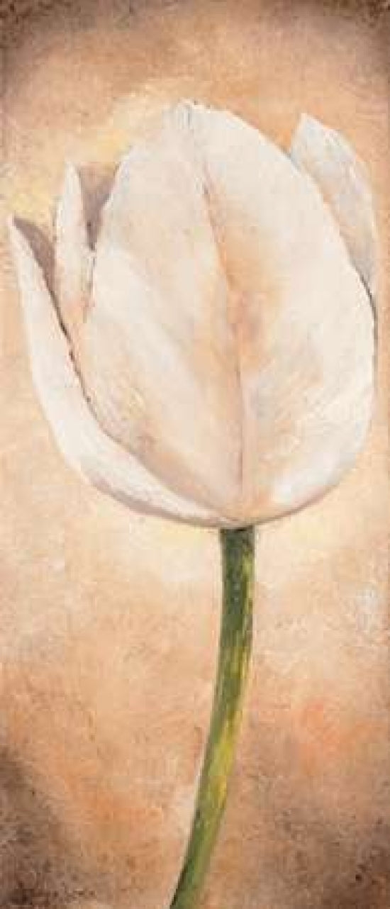 Tulip on beige I Poster Print by Lenna Lotus-VARPDXMLV446 Image 1